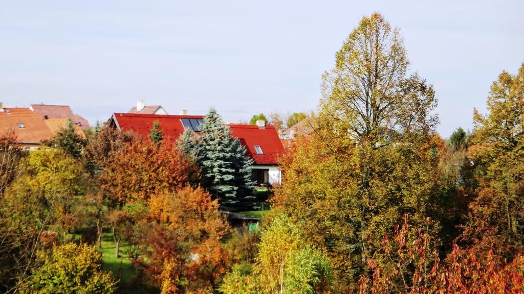 Prázdninový dům - PACL Červená Řečice Cervena Recice Quarto foto
